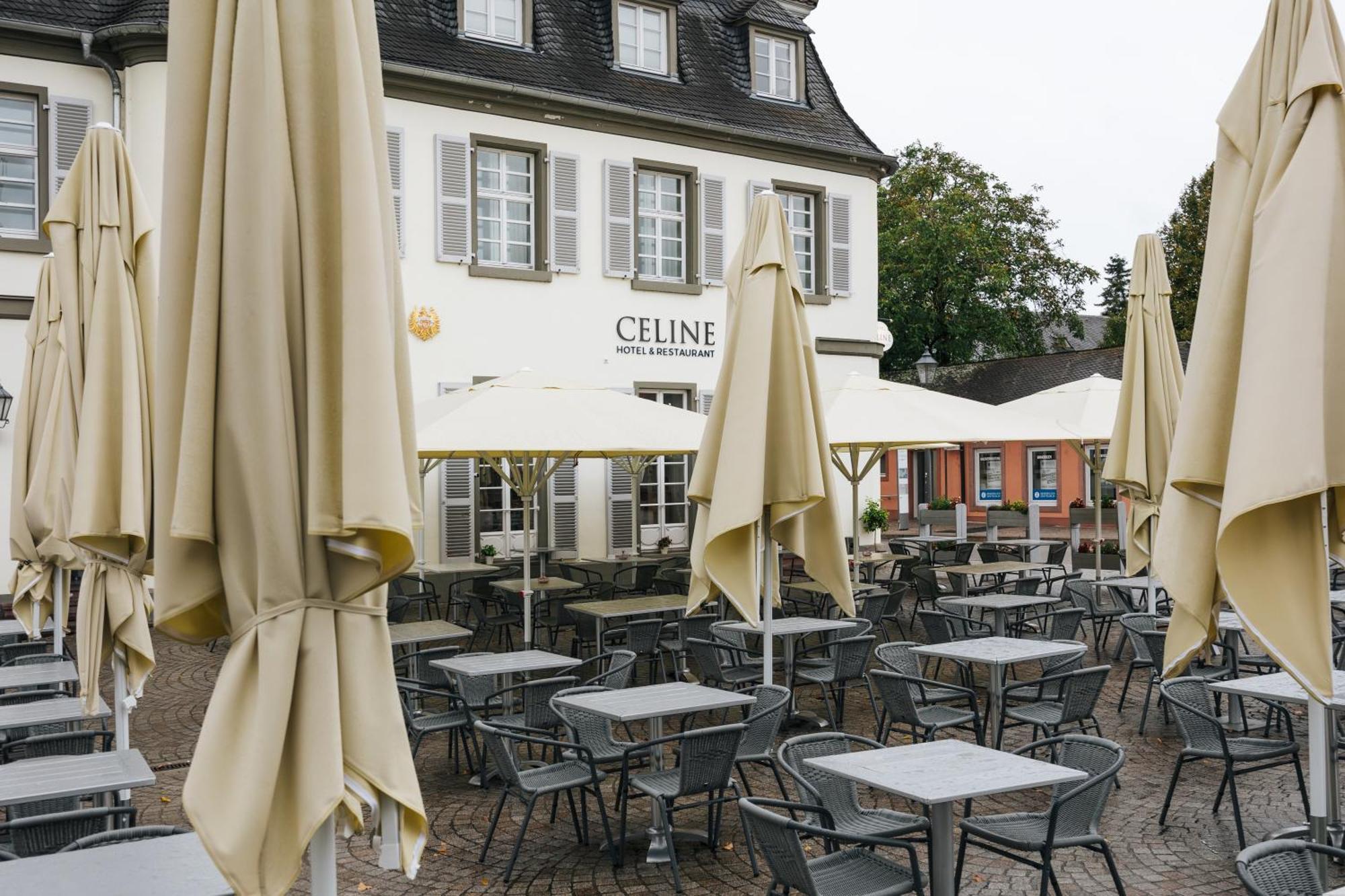 Celine Hotel Шветцинген Экстерьер фото